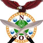Business logo of NP Shikhar organisation based out of Lucknow