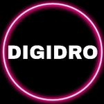 Business logo of Digidro