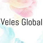 Business logo of Veles Global