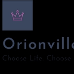 Business logo of Orionvillee