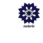 Business logo of Motorie