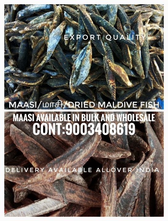 Dry Maasi/SpTuna/Maldivesfish uploaded by business on 11/24/2021