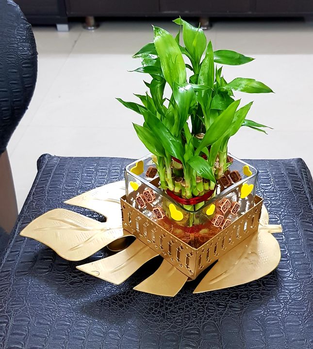 Lucky bamboo shoot with designer metal stand  uploaded by R.k.handicrafts on 11/25/2021