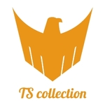 Business logo of TS collection