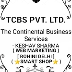 Business logo of THE CONTINENTAL BUSINESS SERVICES based out of North West Delhi