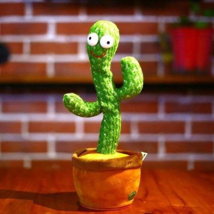 Dancing Cactus uploaded by business on 11/28/2021