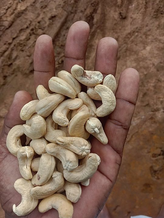 Cashew nut uploaded by business on 9/23/2020
