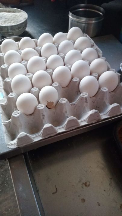 White farm Egg uploaded by business on 12/1/2021