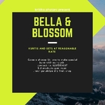Business logo of Bella & blossom