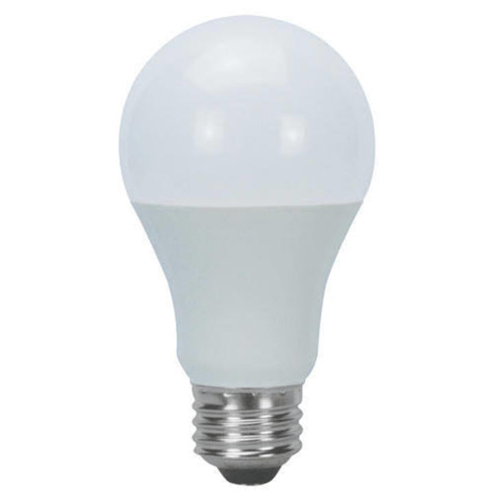 New bulb uploaded by business on 12/1/2021