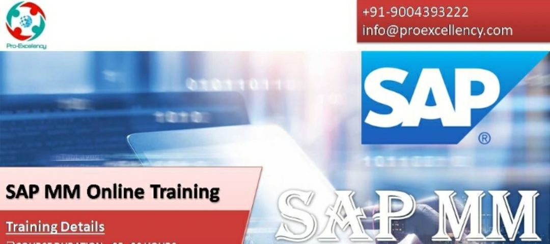 Proexcellency SAP Training