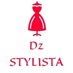 Business logo of Dz Stylista