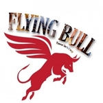 Business logo of Flying Bull Sports wear