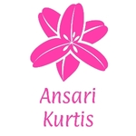 Business logo of Ansari Kurtis