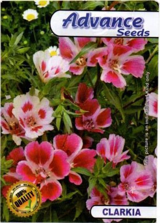 Flowers seeds uploaded by business on 12/7/2021