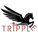 Business logo of Tripple Shield 21