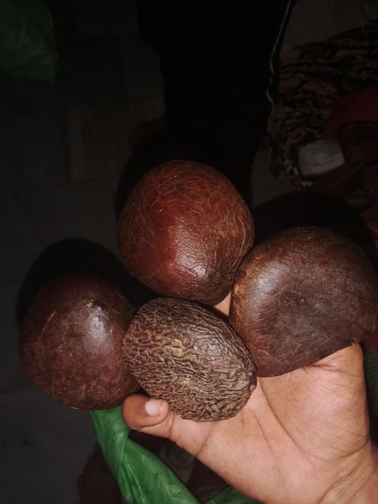 Rajapuri uploaded by Mirza coconut 🥥 holseler on 12/7/2021