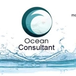 Business logo of OCEAN CONSULTANT