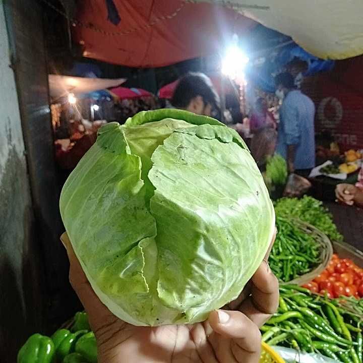 Cabbage uploaded by Srushti Vegetables on 9/24/2020
