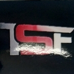 Business logo of TSF SILK