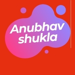 Business logo of Anubhav digital