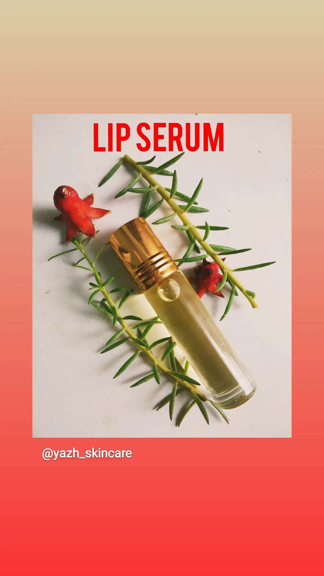 Lipserum uploaded by business on 12/13/2021
