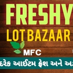 Business logo of FRESHY LOT BAZAAR