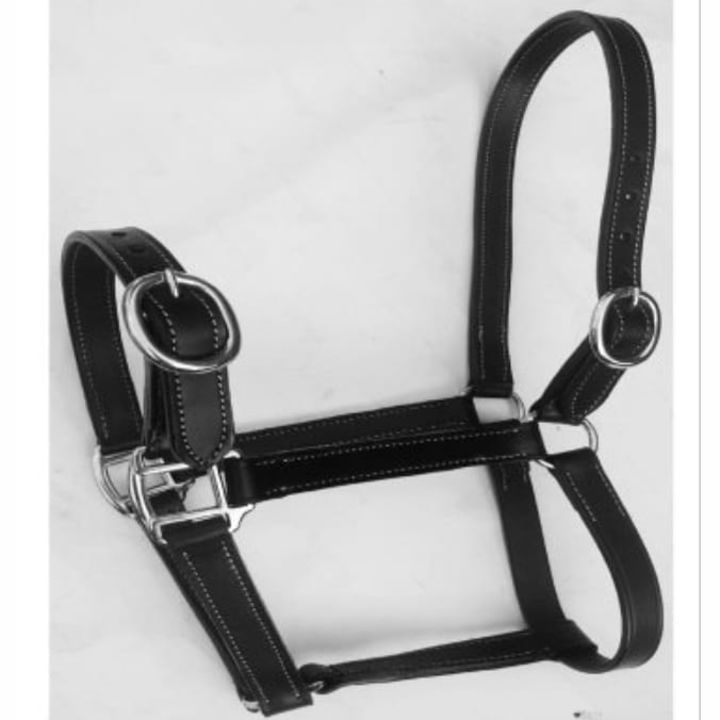 Horse Halter uploaded by business on 12/17/2021