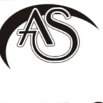 Business logo of Alankara fashion