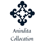 Business logo of Anindita Chetri