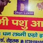 Business logo of Dhan luxmi agro industries