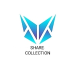 Business logo of Share Collection
