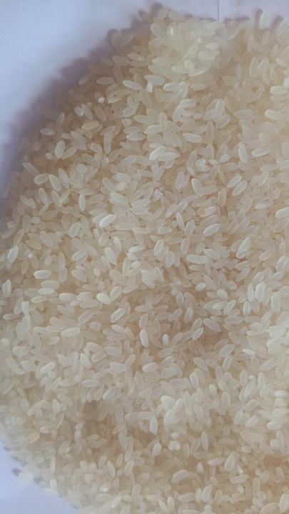 Sona mansoori rice uploaded by business on 12/21/2021
