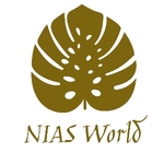 Business logo of NIAS world