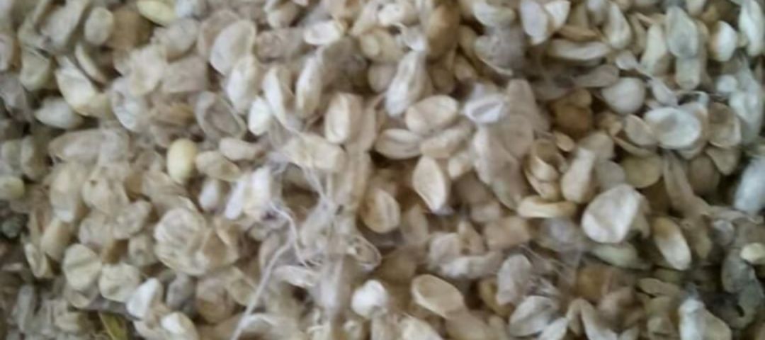 Silk waste products