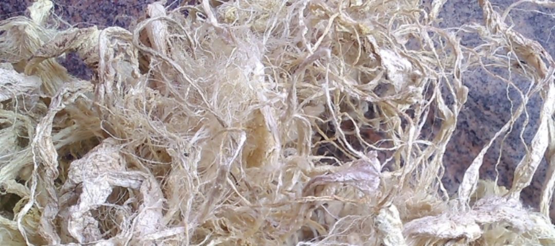 Silk waste products