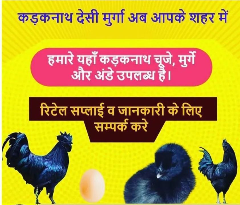 Eggs & chicken uploaded by Kadaknath poultry farms on 12/22/2021