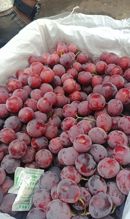 Iran Grapes uploaded by Ashok fruit company on 12/22/2021