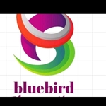 Business logo of Bluebird denim