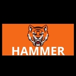 Business logo of Hammer  India