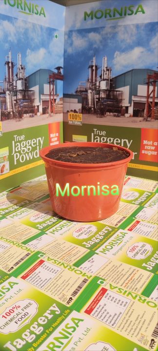 Jaggery round container uploaded by Mornisa Bioorganics Pvt Ltd on 12/22/2021