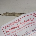 Business logo of Sambhaji industries