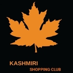 Business logo of Kashmir arts
