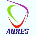 Business logo of AUXES Technity Private Limited