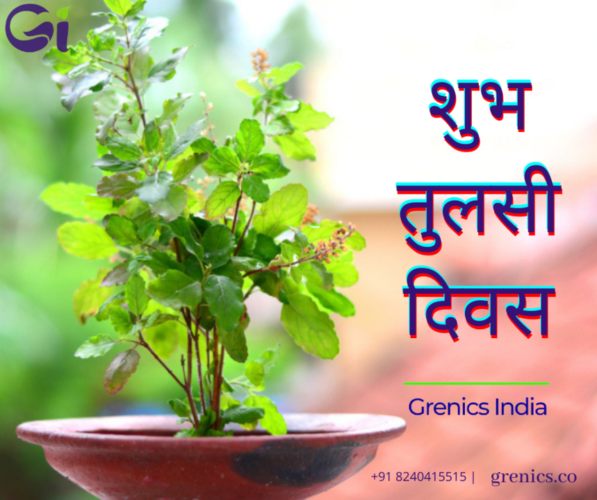 Post image ग्रेनिक्स इंडिया आपको तुलसी दिवस की हार्दिक शुभकामनाएं देते हैं।