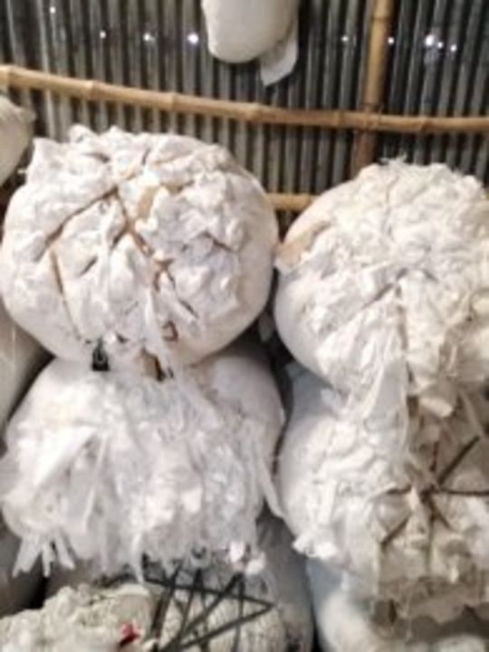 White pc cotton  uploaded by business on 12/28/2021