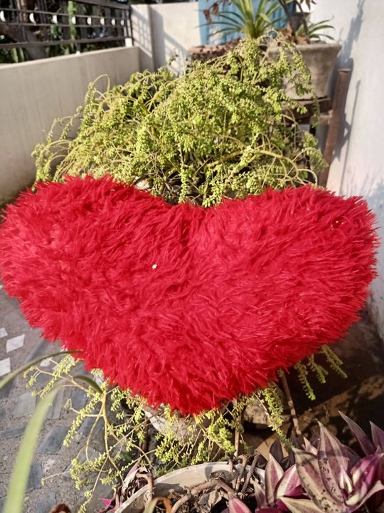Heart shape pillow uploaded by business on 12/29/2021