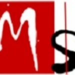 Business logo of Megha Fashion
