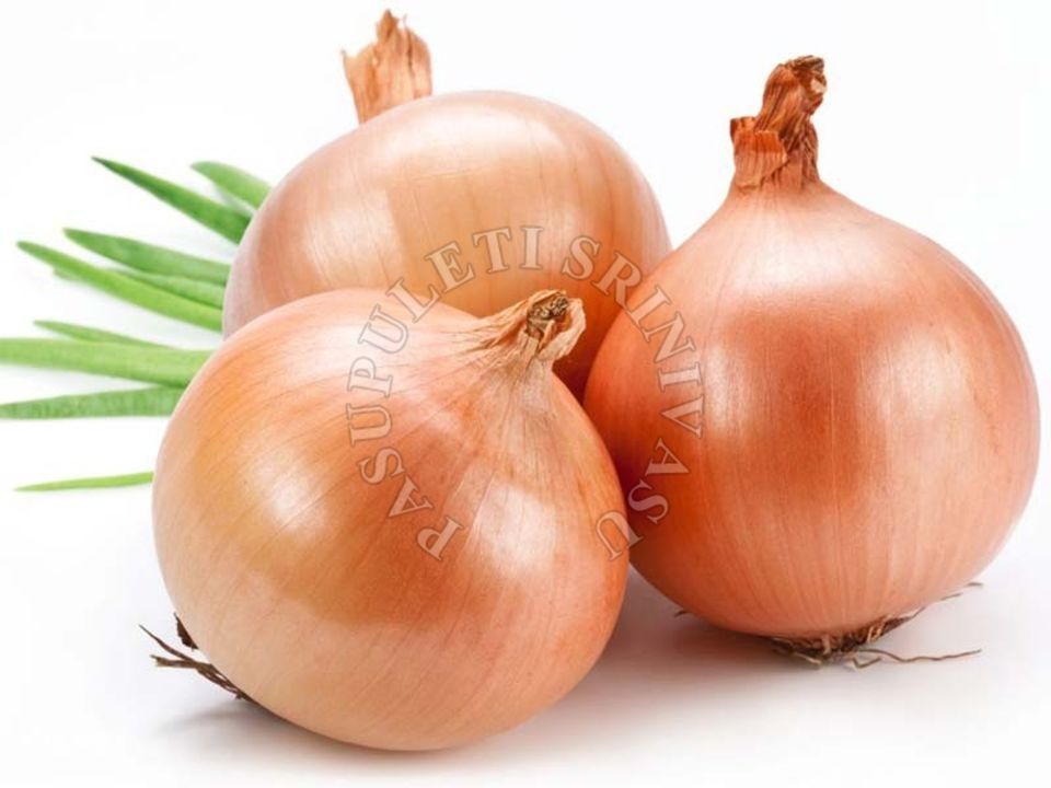 Onion  uploaded by business on 12/31/2021