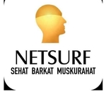Business logo of Netsurf network